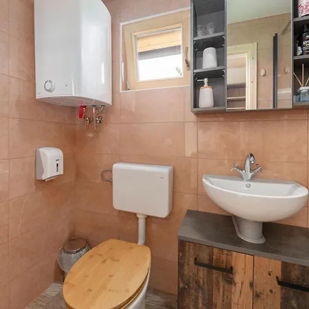 Pr' Koncovc 公寓 克拉尼